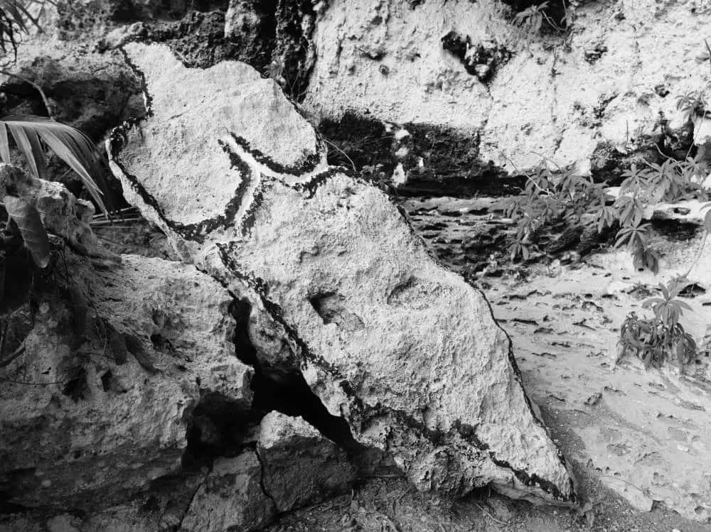 Ana Mendieta: ricerca viscerale tra body art, land art e performance