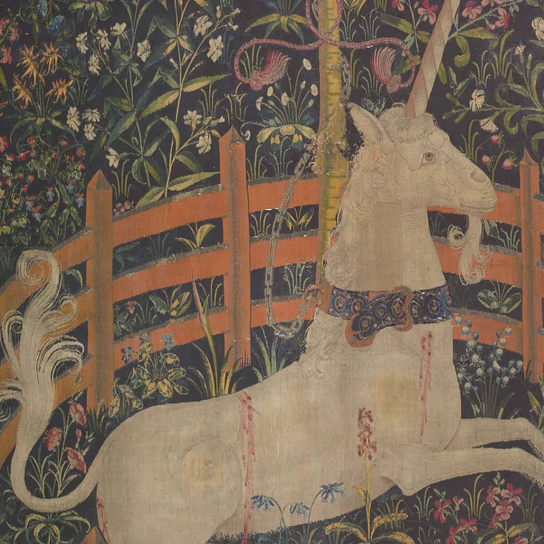 Caccia all'unicorno