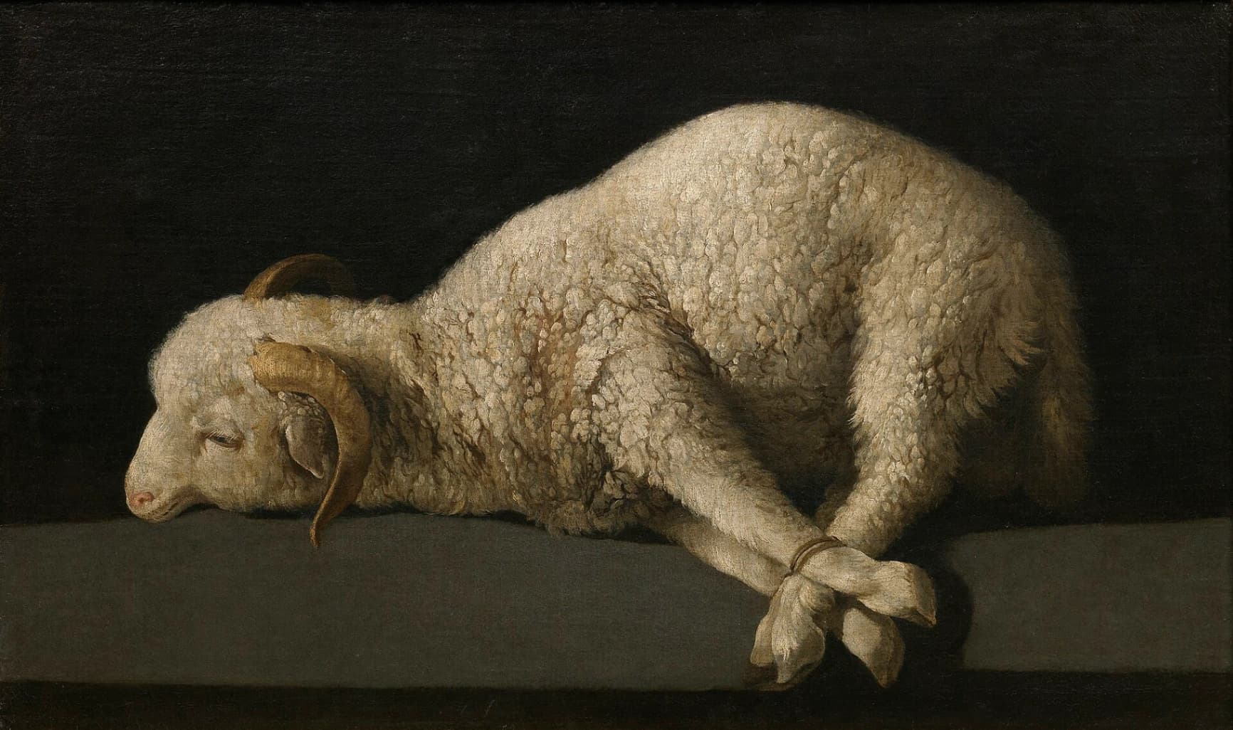 Francisco de Zurbarán, Agnus Dei, 1635-1640 circa, olio su tela, 38 × 62 cm, Museo del Prado, Madrid.