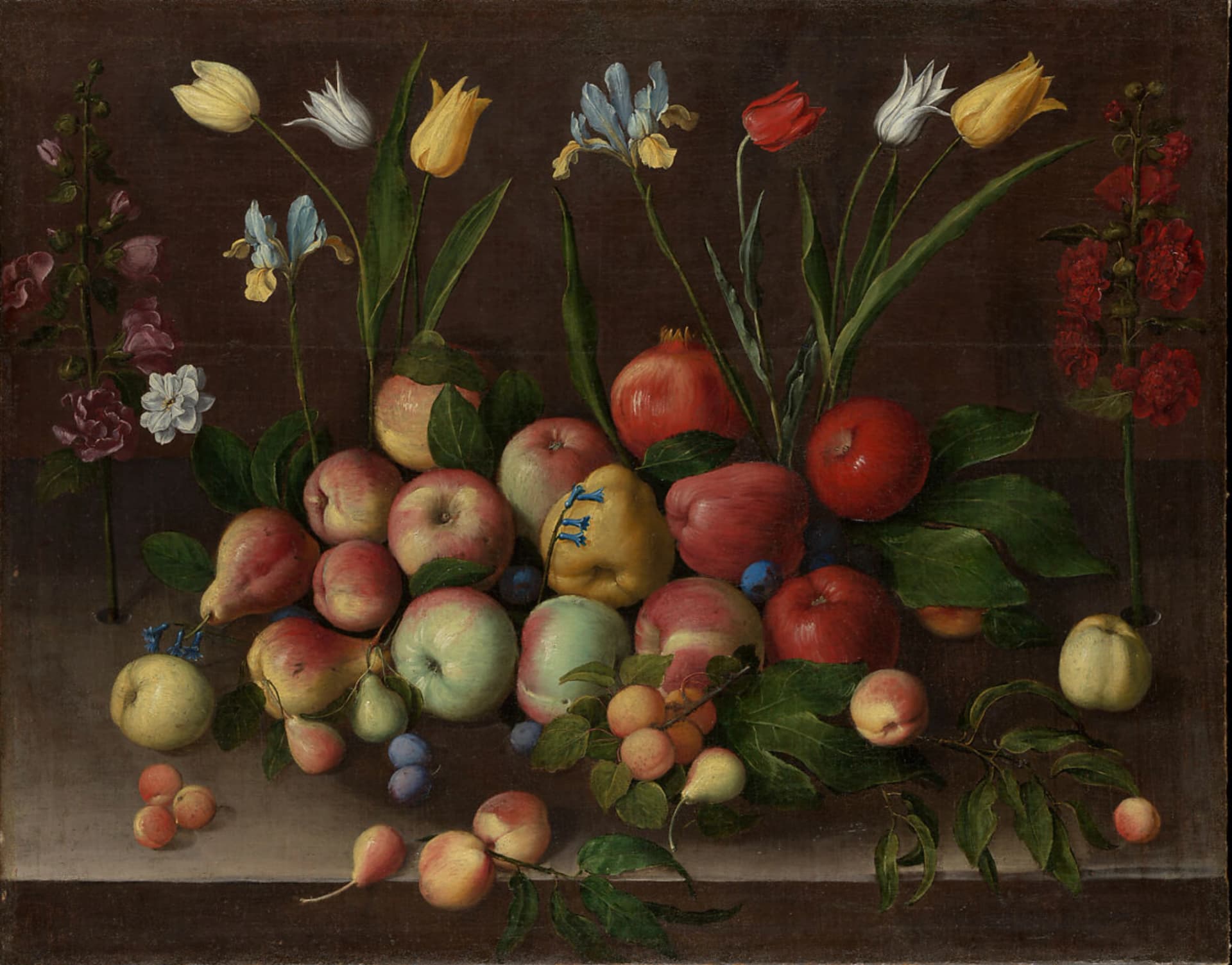 Orsola Maddalena Caccia, Fiori e Frutti, 1630 circa, olio su tela, 76,2 × 99,1 cm, The Metropolitan Museum of Art, New York.