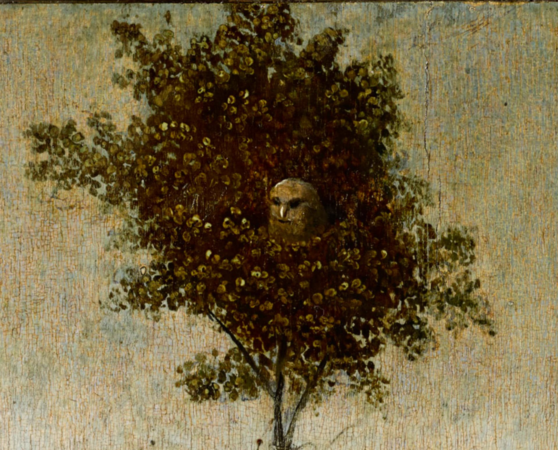 Hieronymus Bosch, La Nave dei Folli, 1494 circa, olio su tavola, 57,9 × 32,6 cm, Museo del Louvre, Parigi. Dettaglio del gufo.