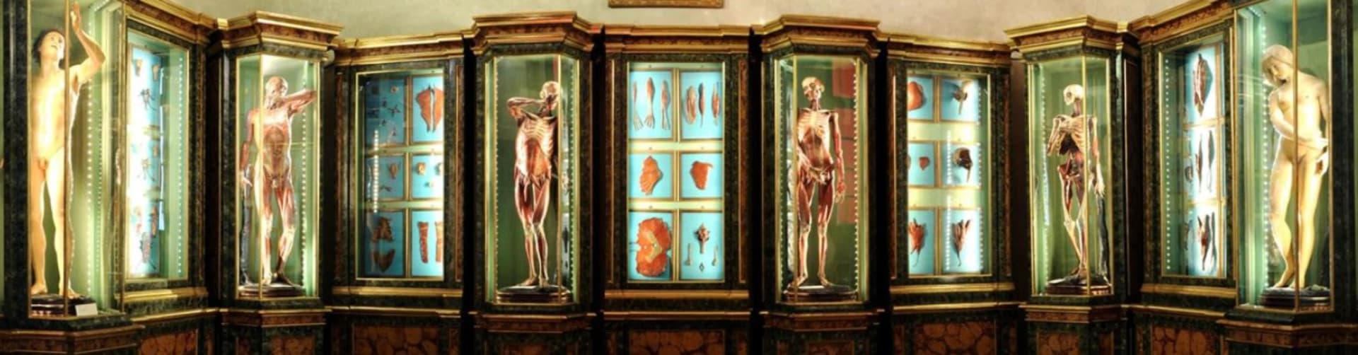 Anna Morandi Manzolini e Anna Fortino: artiste della ceroplastica 