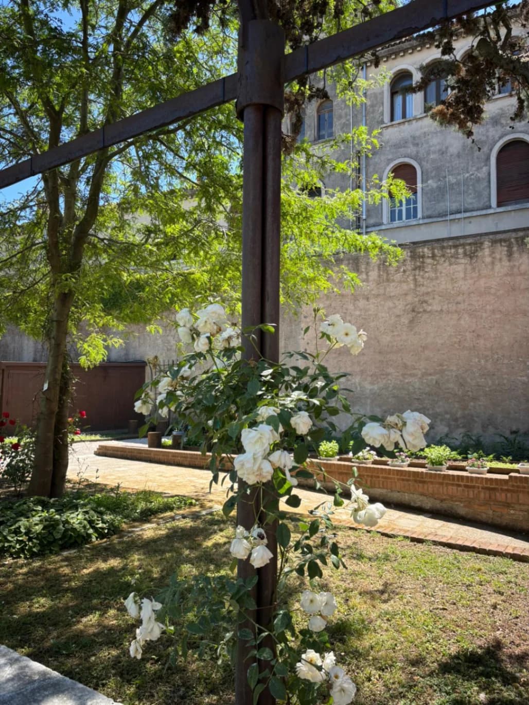 Un altro delizioso scorcio del Giardino dei Carmelitani Scalzi di Venezia: tra roseti, vigne, piante aromatiche e officinali.