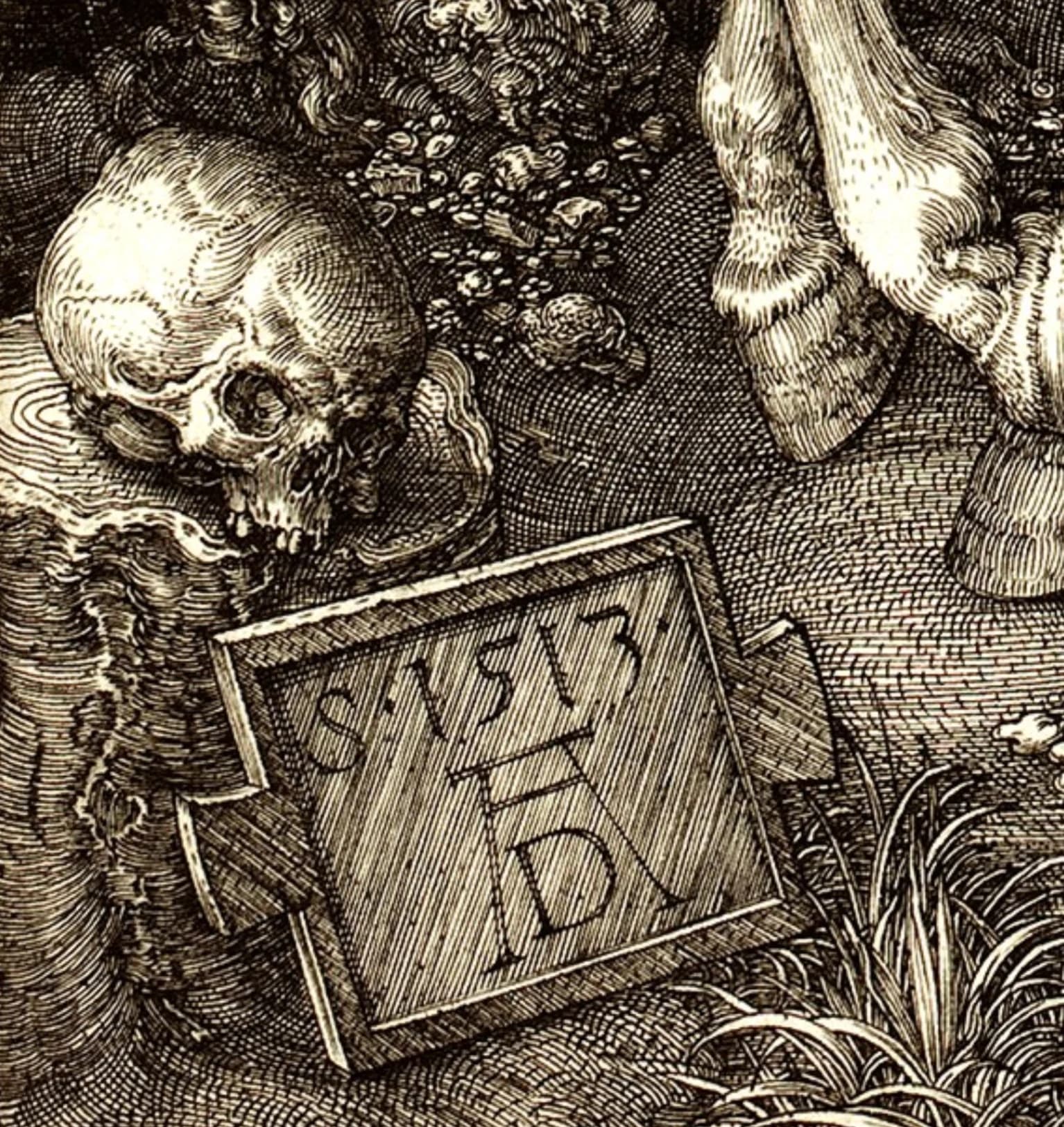 Il Cavaliere, la Morte e il Diavolo di Albrecht Dürer